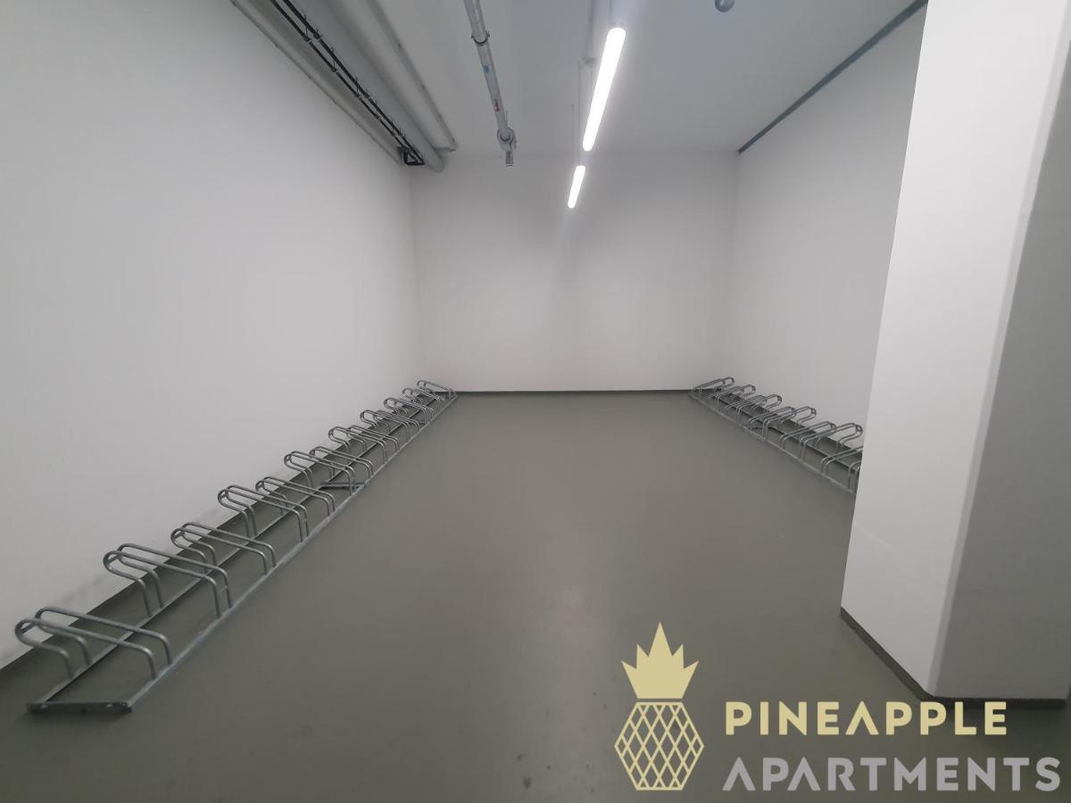 Pineapple Apartments Dresden Altstadt I - 117 Qm - 1X Free Parking Ngoại thất bức ảnh